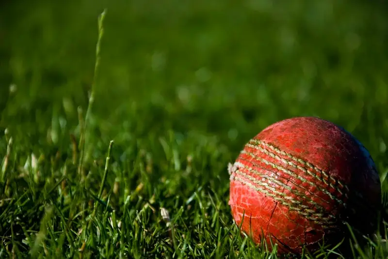 Cricket Pitch